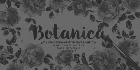 Botanica